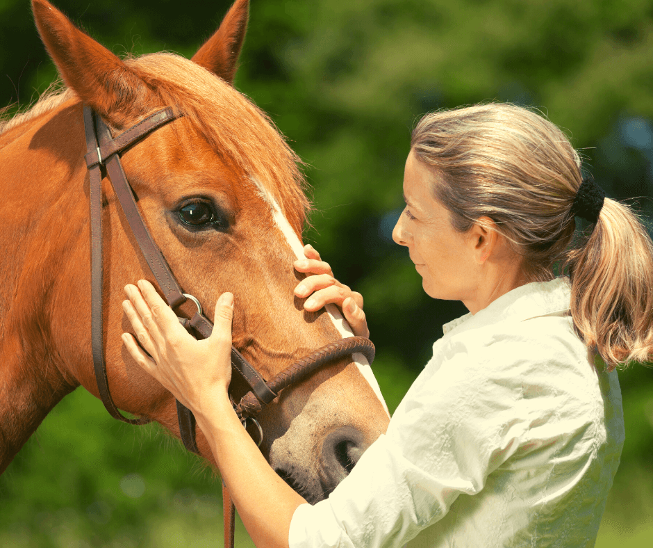 Frau spricht mit Pferd Tierkommunikation