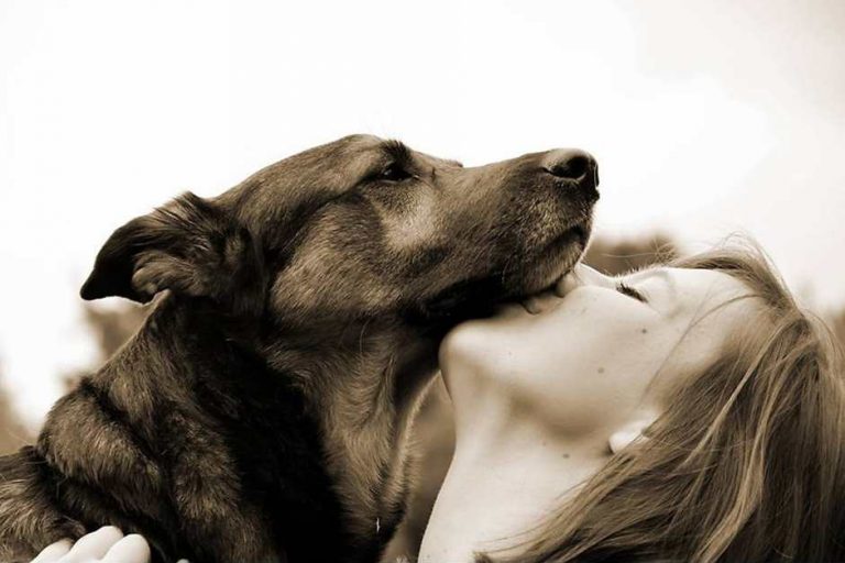 Frau Hund gratis Tierkommunikationskurs mit Tieren sprechen lernen Minikurs Schnupperkurs Emailkurs