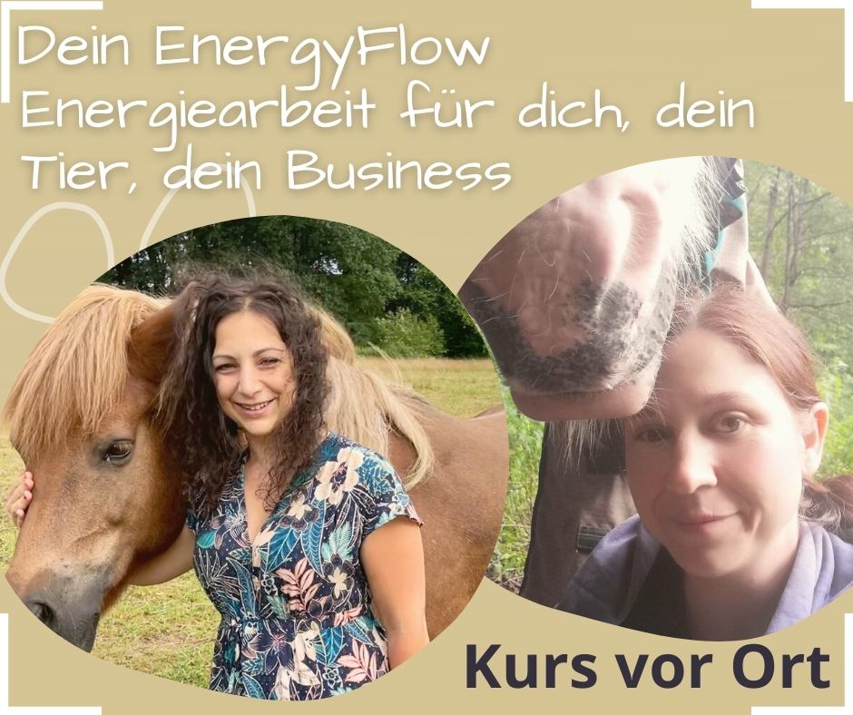 Energiearbeit-Tiere-Business